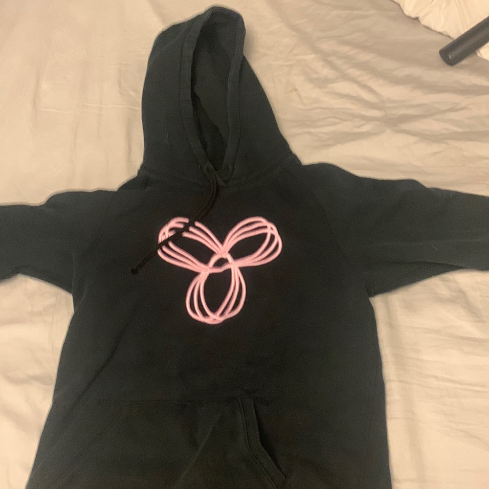 Aritzia hoodie
